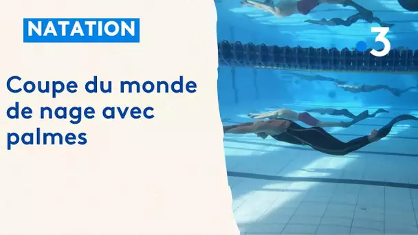 Natation : coupe du monde de nage avec palmes à Aix-en-Provence