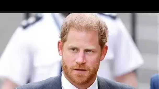 La bataille judiciaire du prince Harry pour la sécurité du Royaume-Uni pourrait faire perdre 1 milli