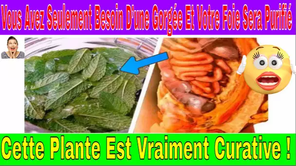 Voici Un Remède Naturel Pour Purifier Votre foie naturellement Seulement Une Gorgée De Cette Boisson