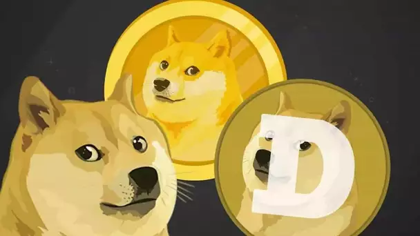 Dogecoin : la crypto qui était une blague peut désormais être utilisée