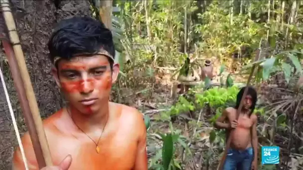 Les populations indigènes vivant en Amazonie, menacés par la déforestation