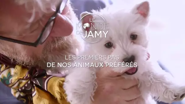 Le Monde de Jamy – Chiots, Chatons : Les premiers pas de nos animaux préférés ! Lundi 12/02 sur F3