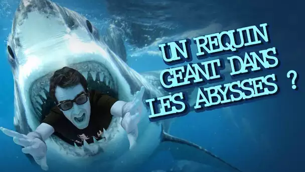 UN REQUIN GÉANT DANS LES ABYSSES ? Vrai ou Faux #6