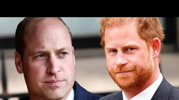 Le prince William et Kate "furieux" contre Harry suite à une accusation explosive, selon un initié