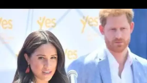 Meghan et Harry « vont croire qu'ils ont été suspendus pour sécher » après le livre de la bombe