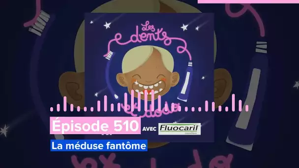 Les dents et dodo - Épisode 510 : La méduse fantôme