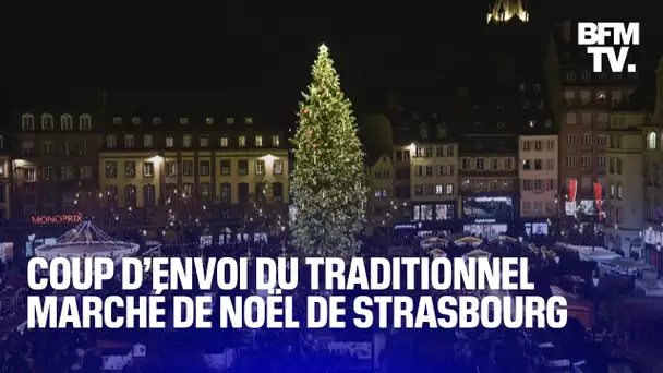 L’illumination du sapin de Noël de Strasbourg marque le coup d’envoi du traditionnel marché de Noël