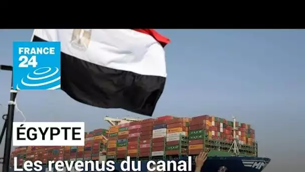 En Égypte, les revenus du canal de Suez s'effondrent à cause des tensions en mer Rouge • FRANCE 24