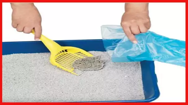 ARM & HAMMER Easy Tear Disposable Dog Waste Bag Refills With Odor Control Available In Assorted