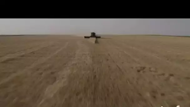 Etats Unis, Kansas : récolte de blé
