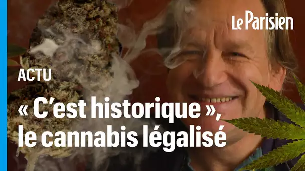 Aux Pays-Bas, la culture et la commercialisation du cannabis rendues légales