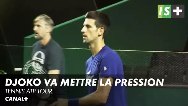 Djokovic prêt à rater les Grands Chelems - Tennis ATP tour