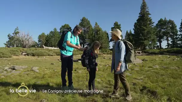 Extrait de l'émission Ô la belle vie dans le massif du Canigou