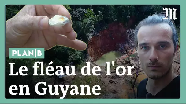 Comment les chercheurs d’or détruisent la forêt en Guyane #PlanB