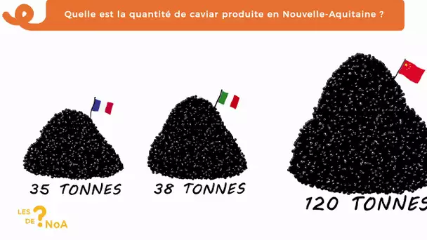 Les ? de #Noa 70 : quelle est la quantité de caviar produite en Aquitaine ?