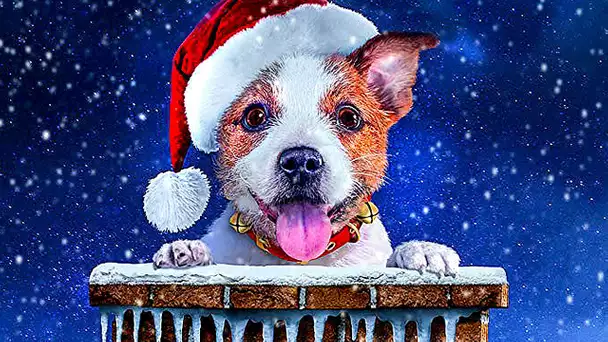 Le Chien du Père Noel | Film Complet en Français | Famille