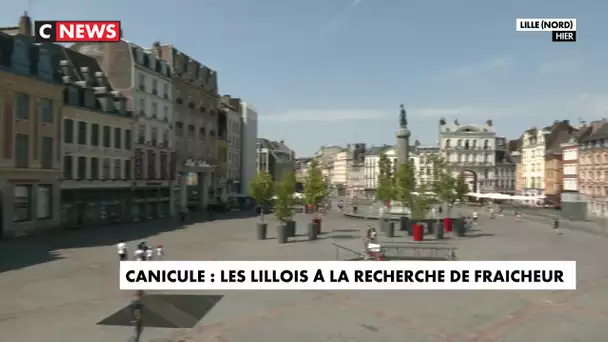 Canicule : les Lillois à la recherche de la fraîcheur