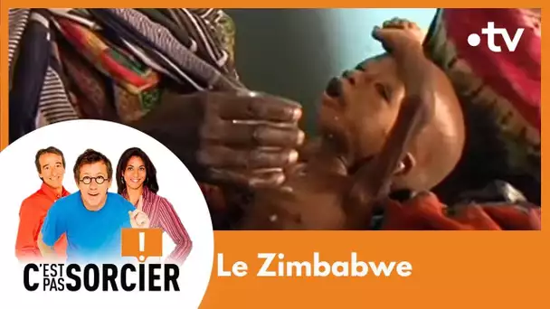 Zimbabwe : Comment vaincre la faim dans le monde ? - C'est pas sorcier [Intégrale]