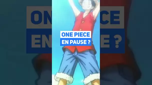 Pourquoi One Pièce est en pause ?