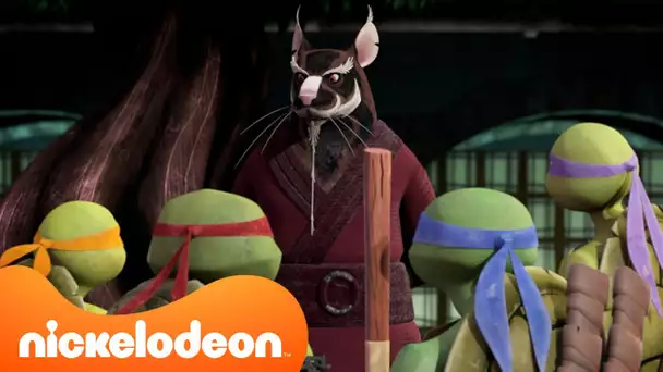 Les plus grandes leçons de vie de Splinter dans TMNT 🐀 | Compilation de 20 minutes  | Nickelodeon