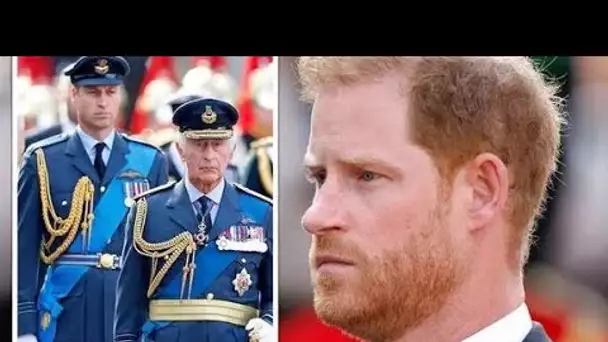 Le prince Harry a remis un «nombre de branches d'olivier» à la famille royale lors du deuil de la re