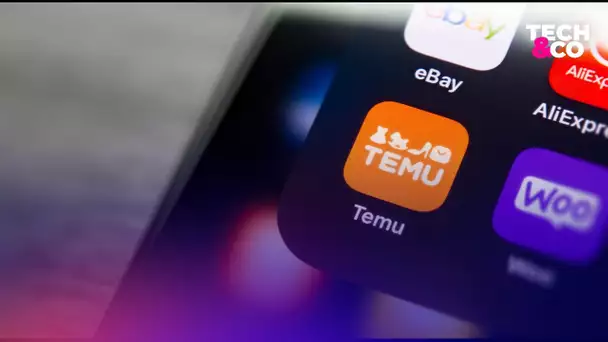 Temu: pourquoi il faut se méfier des 100 euros offerts par l'application chinoise