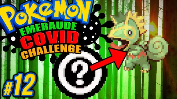 QUI est KECLEON ? #12 - Pokémon EMERAUDE C🅾️VID CHALLENGE