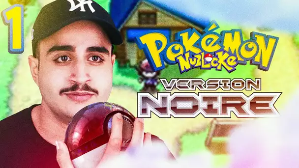 DRESSEUR BIBI REPREND DU SERVICE SUR POKEMON NOIR EN NUZLOCKE #1