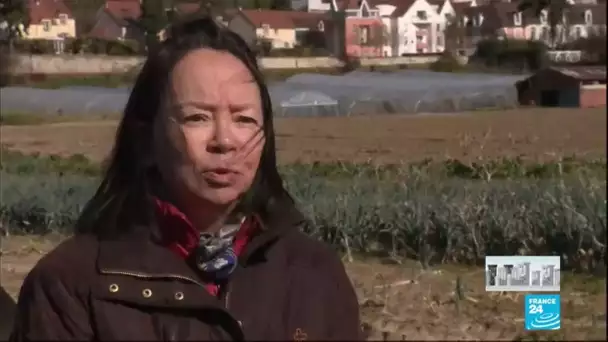Covid-19 : En France, les agriculteurs ne savent plus vers qui se tourner
