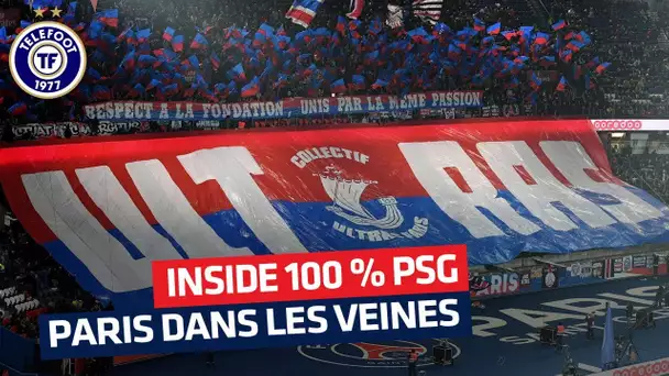 "Ils ont le PSG dans le sang": Au coeur des supporters parisiens