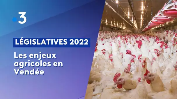 Législatives 2022 : Les enjeux agricoles en Vendée