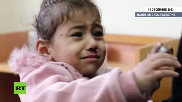 🇵🇸 Bande de Gaza : l'OMS dénonce une augmentation des maladies