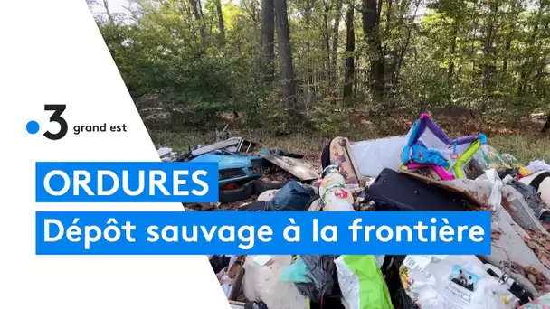 Un dépôt sauvage d'ordures découvert en forêt de Saint-Avold en Moselle