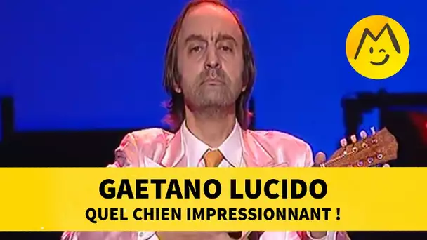 Gaetano Lucido : quel chien impressionnant !