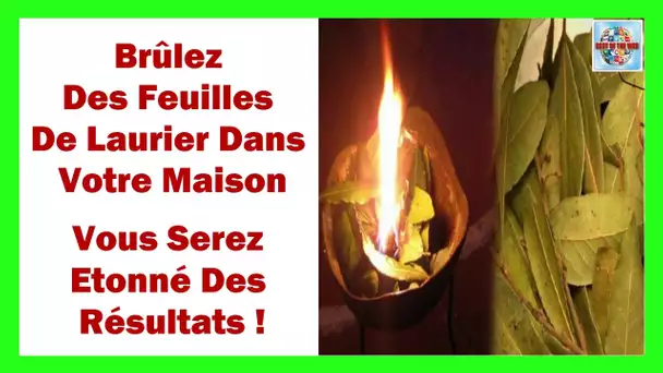 Brûlez Des Feuilles De Laurier Dans Votre Maison - Vous Serez Étonné Des Résultats !