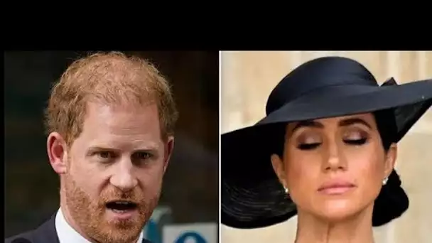 Le prince Harry « pourrait contester la loi » l’obligeant à renoncer au titre de duc de Sussex