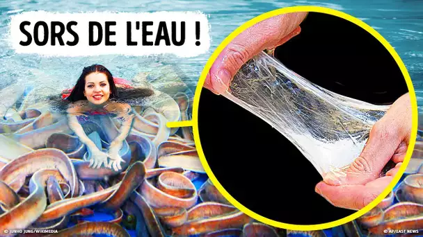 Même les Requins Craignent ce Poisson Visqueux, et tu Devrais en Faire Autant !