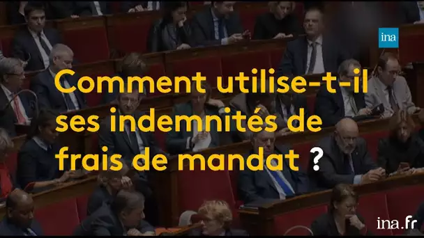 Les parlementaires ont-ils trop de privilèges ? | Franceinfo INA