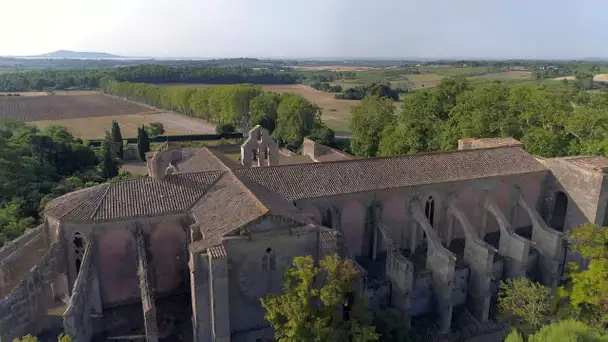 Balades occitanes : découverte de l'abbaye de Valmagne
