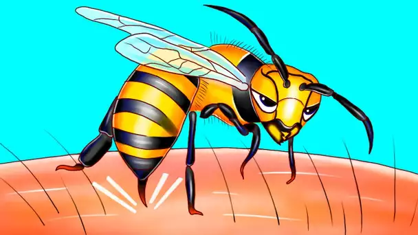 Des héros minuscules : découvrir la vie secrète des abeilles et des insectes