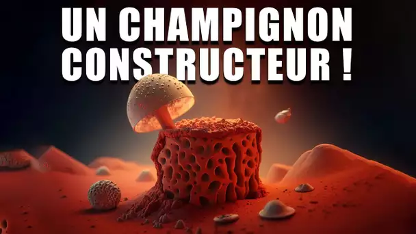 Un CHAMPIGNON pour construire des briques sur MARS ! (NIAC)