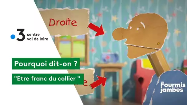 Pourquoi dit-on : être franc du collier !