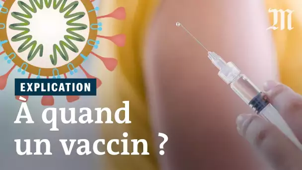 Coronavirus : pourquoi trouver un vaccin prend tant de temps
