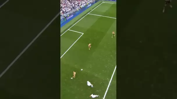 What a SAVE! 🤩