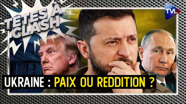 Ukraine : Paix ou reddition ? - Têtes à Clash - TVL