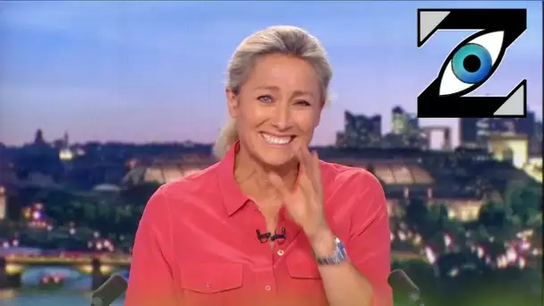 [Zap Télé] Le fou rire incontrôlable d'Anne-Sophie Lapix après un problème technique ! (11/05/21)