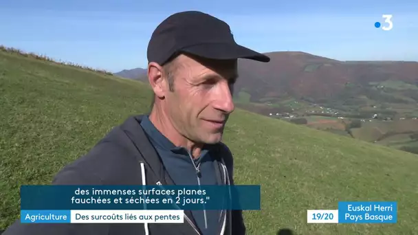 Pays basque : pour les agriculteurs, des surcoûts liés aux pentes