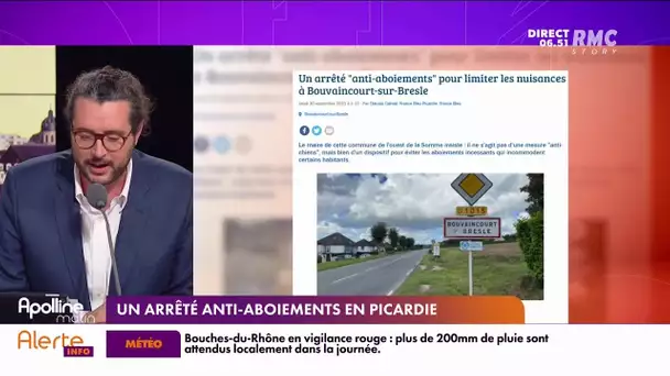 Dans la Somme, un maire prend un arrêté "anti-aboiement"