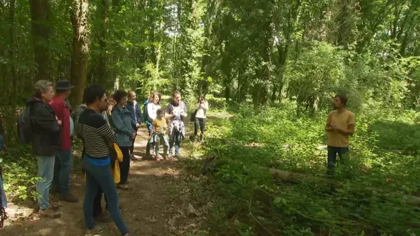 Balade pédagogique au cœur de la forêt de Land Rohan/Vigneux-de-Bretagne