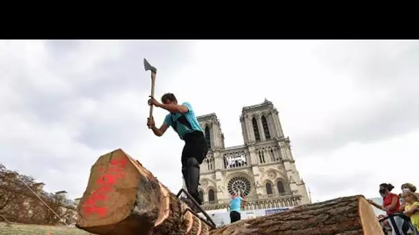 Sur le parvis de Notre-Dame, les charpentiers exposent leur savoir-faire